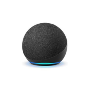 Echo Dot 4