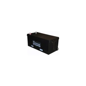 Genus inverter battery 100AH for backup power – compact SMF battery ideal for Nigerian homes and offices